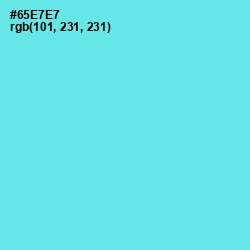 #65E7E7 - Turquoise Blue Color Image