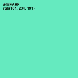 #65EABF - De York Color Image