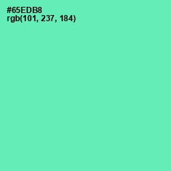 #65EDB8 - De York Color Image