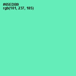 #65EDB9 - De York Color Image