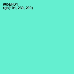#65EFD1 - Aquamarine Color Image