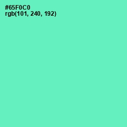 #65F0C0 - Aquamarine Color Image