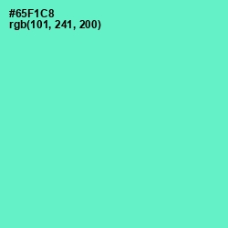 #65F1C8 - Aquamarine Color Image