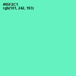 #65F2C1 - Aquamarine Color Image