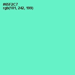 #65F2C7 - Aquamarine Color Image