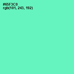 #65F3C0 - Aquamarine Color Image