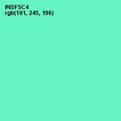 #65F5C4 - Aquamarine Color Image