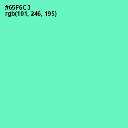 #65F6C3 - Aquamarine Color Image