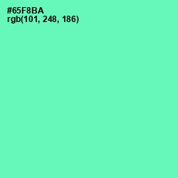 #65F8BA - De York Color Image
