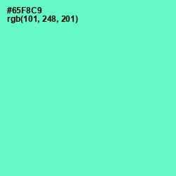 #65F8C9 - Aquamarine Color Image
