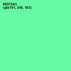 #65F9A5 - De York Color Image