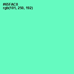 #65FAC0 - Aquamarine Color Image