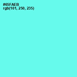 #65FAEB - Turquoise Blue Color Image