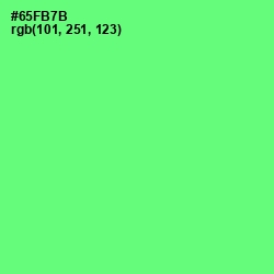 #65FB7B - Screamin' Green Color Image