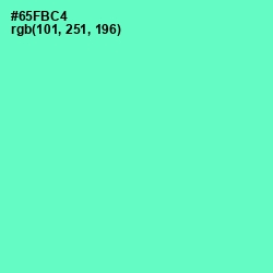 #65FBC4 - Aquamarine Color Image