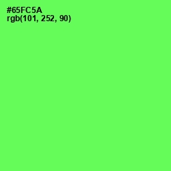#65FC5A - Screamin' Green Color Image