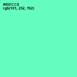 #65FCC0 - Aquamarine Color Image