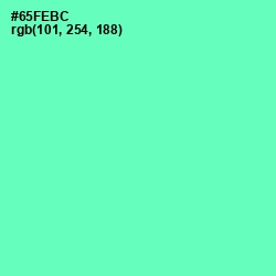 #65FEBC - De York Color Image