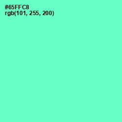 #65FFC8 - Aquamarine Color Image