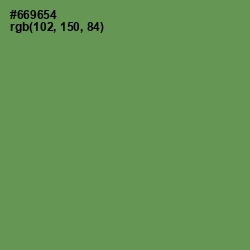 #669654 - Glade Green Color Image