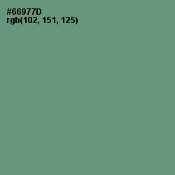 #66977D - Laurel Color Image