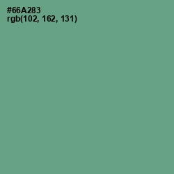 #66A283 - Silver Tree Color Image