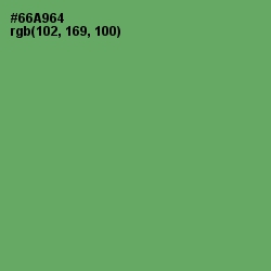 #66A964 - Fern Color Image