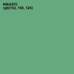 #66A97E - Fern Color Image