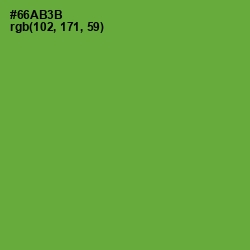 #66AB3B - Apple Color Image