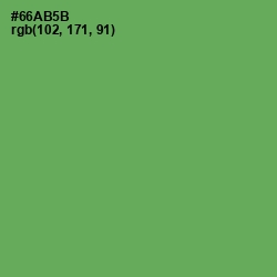 #66AB5B - Asparagus Color Image