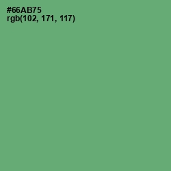 #66AB75 - Fern Color Image