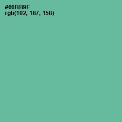 #66BB9E - Silver Tree Color Image