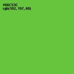 #66C53C - Bright Green Color Image