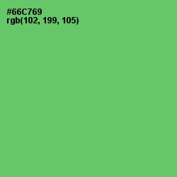 #66C769 - Mantis Color Image