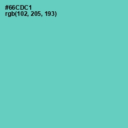 #66CDC1 - Downy Color Image