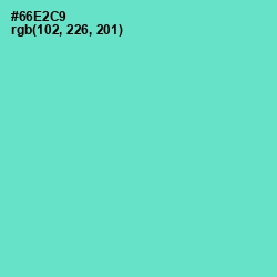 #66E2C9 - Aquamarine Color Image