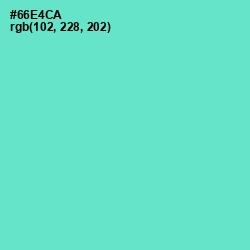 #66E4CA - Aquamarine Color Image