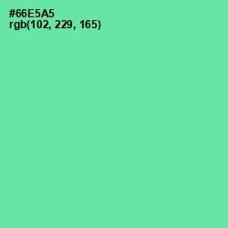 #66E5A5 - De York Color Image