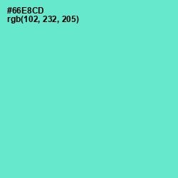 #66E8CD - Aquamarine Color Image