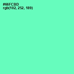 #66FCBD - De York Color Image