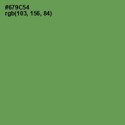 #679C54 - Glade Green Color Image