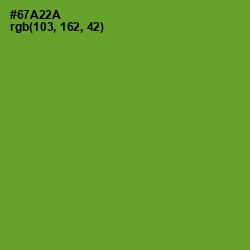 #67A22A - Olive Drab Color Image