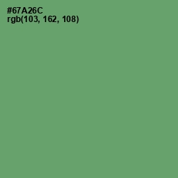 #67A26C - Fern Color Image