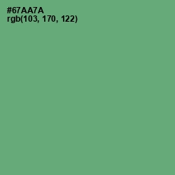 #67AA7A - Fern Color Image