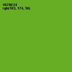#67AE24 - Christi Color Image