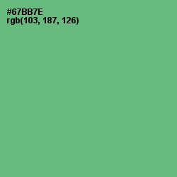 #67BB7E - Fern Color Image