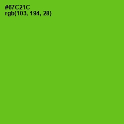 #67C21C - Bright Green Color Image