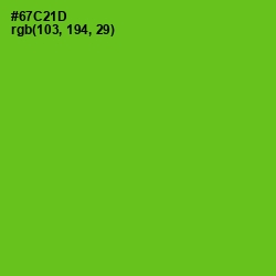 #67C21D - Bright Green Color Image