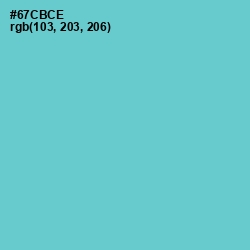 #67CBCE - Downy Color Image
