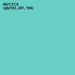 #67CFC6 - Downy Color Image